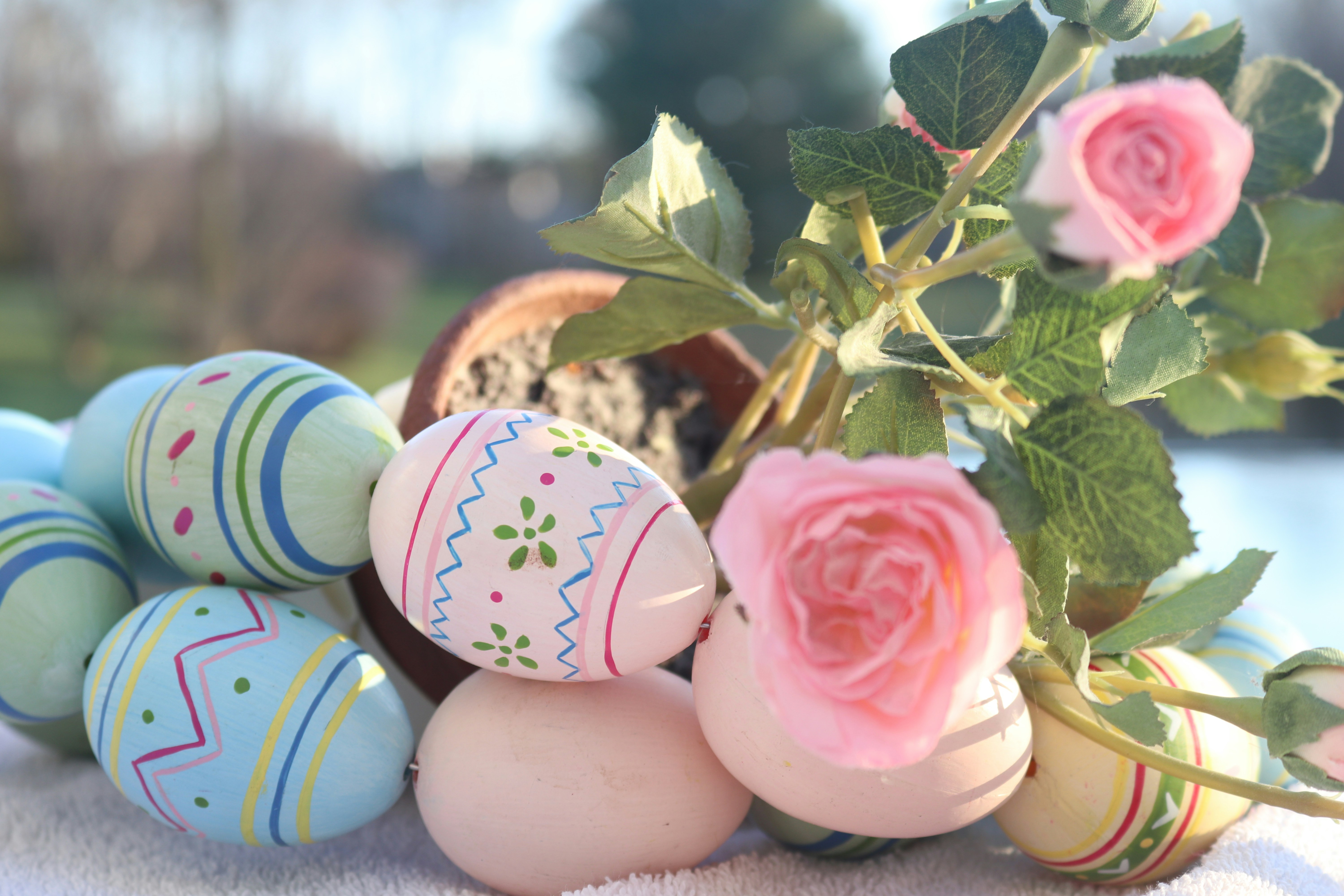 Sham El Naseem 2026: Complete Guide — History, Traditions & Best 4 Day Trips in Egypt